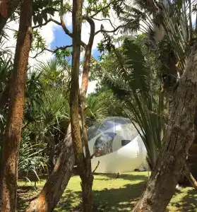 Bubble Bois Chéri - 9