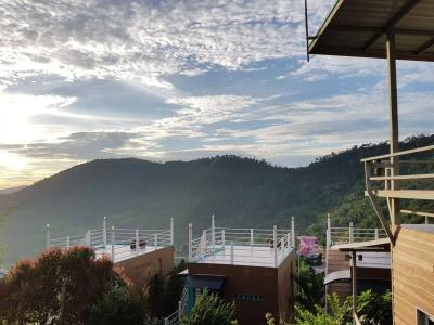 Khao Kho Tree Top - 11