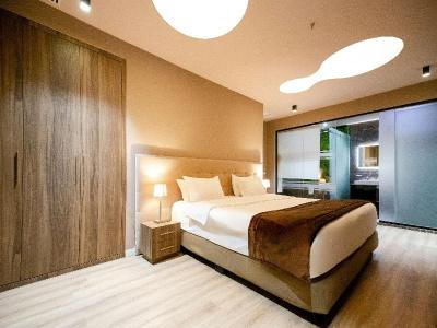 Best Western Premier Ark - 218