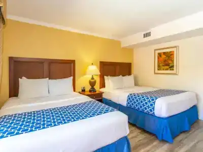 Coconut Cove All Suite - 33