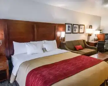 Comfort Inn - 36