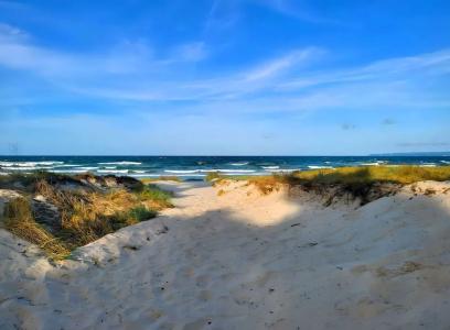 Windland - 22
