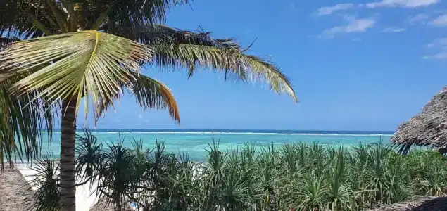 Zanzibar Retreat - 76