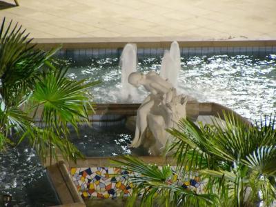 Le Bourbon Pau Centre - 6