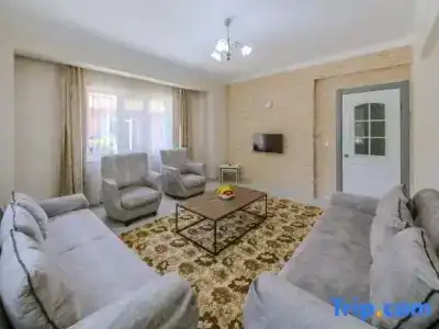Afyon Dundar Thermal Villa - 58