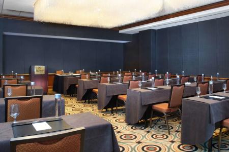 Sheraton Grand Chicago - 21