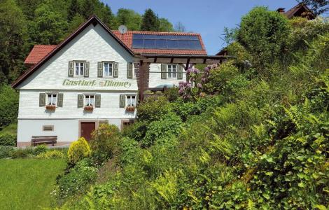 - Gasthof Blume - 17