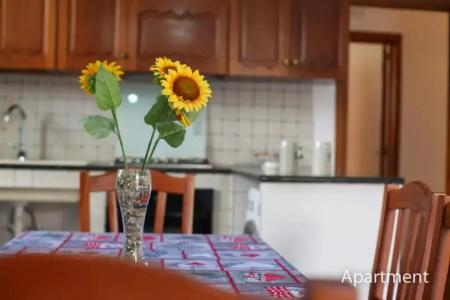 b&b Fuori Rotta - 171