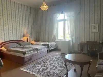 Kartanohotelli Karhulan Hovi - 2