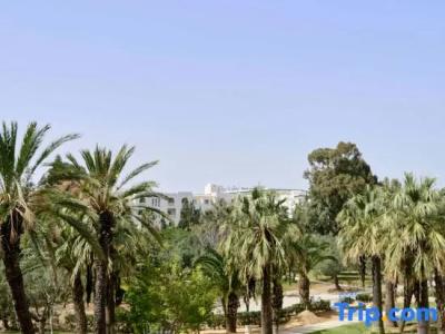 Iberostar Selection Diar El Andalous - 72