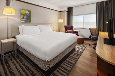 Hilton Garden Inn Minneapolis Airport Mall of America - 59