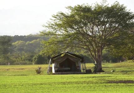 Polo Safari Club - 5