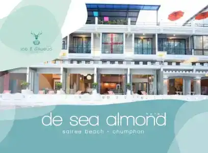 De Sea Almond - 30
