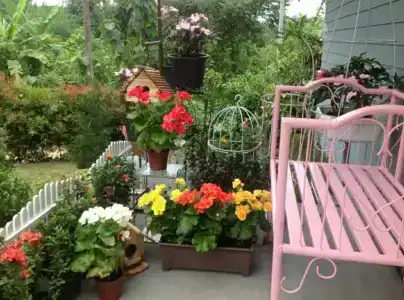 Baan JaoKorKluay บ้านเจ้ากอกล้วย - 7