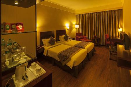 Vesta Maurya Palace - 22