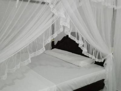 Mirissa Cocoon - 46