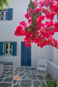 Acrogiali Beach Mykonos - 46