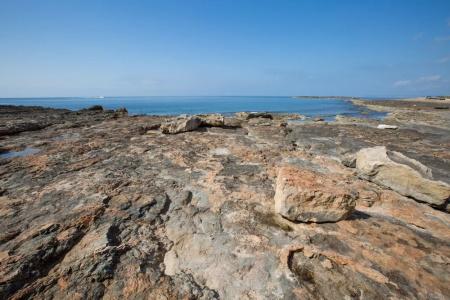 Son Homs - 9
