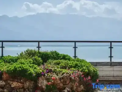 Erhai Lake Seclusive Life - 167