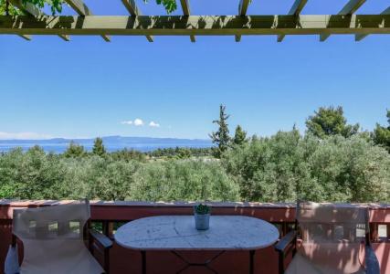 Kopana Resort - 36