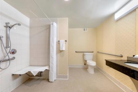 Clarion Anaheim Resort - 7