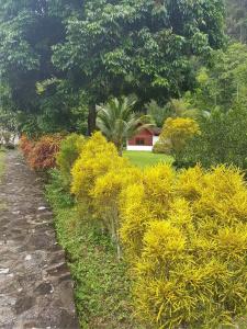 Phanom Bencha Mountain Resort - 11