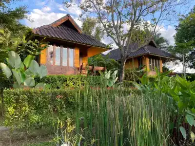 Pura Vida - 28