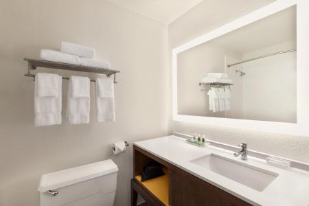 Holiday Inn Houston Intercontinental Airport, an IHG - 8