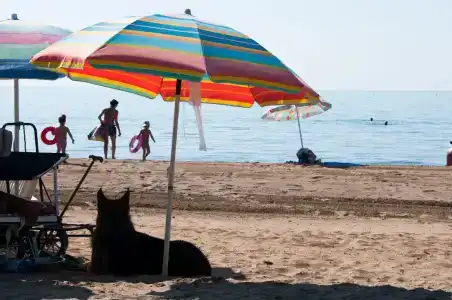 Jesolo Mare Family Camping Village - 20
