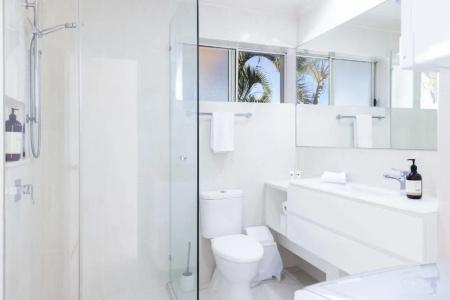 Noosa River Palms - 100