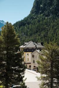 Bernina - 89
