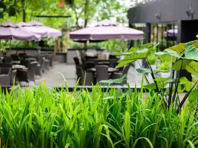 The Greenery Khao Yai - 29