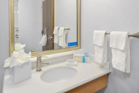 Hampton Inn & Suites Denver-Speer Boulevard - 57