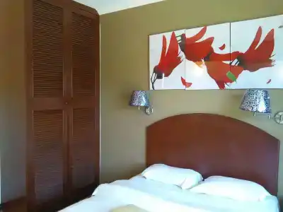 Casuarina - 3
