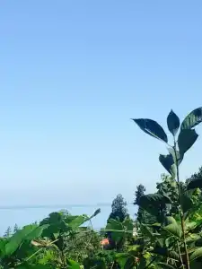 Villa la familia - 15