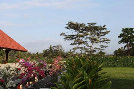 Ubud Wana Resort - 21