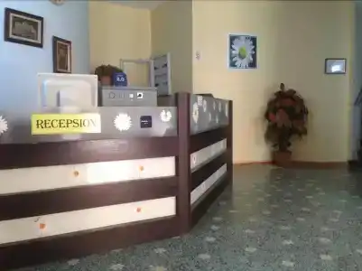 Kamomil - 1