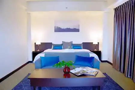 The Color Living - 87