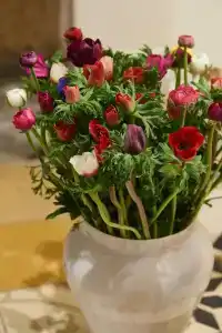 Tel-Aviv Lala Boutique - ללה מלון בוטיק - 33