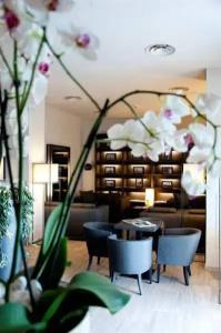 Villa Grey - 19