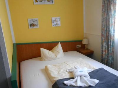 GreenLine FerienForelle - 12