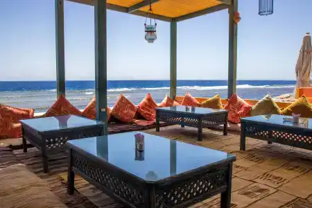 Shams & Dive Centre - 9