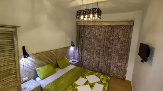 Shams & Dive Centre - 50