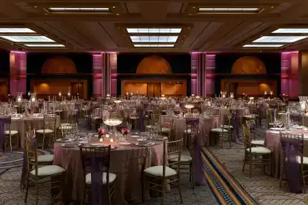 Sheraton Grand Chicago - 31