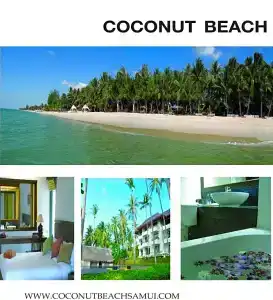 Coconut Beach Resort - 30