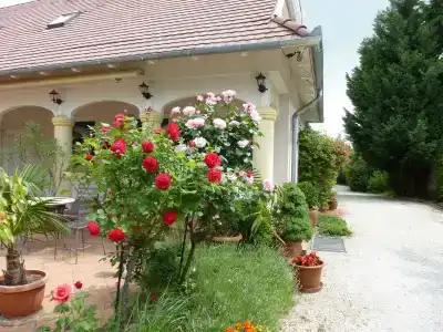 Albergo Giardino - 22