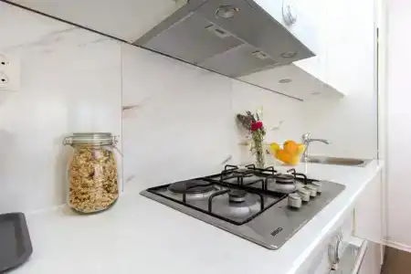 The Whitehouse Apartment - 111