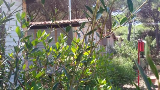 Camping Village Il Sole - 59