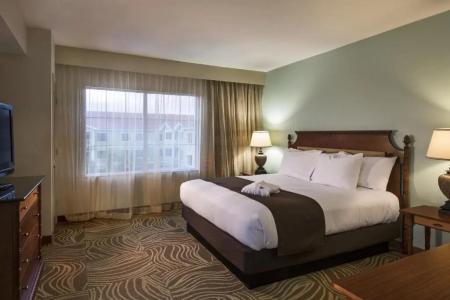 DoubleTree Suites by Hilton - 213