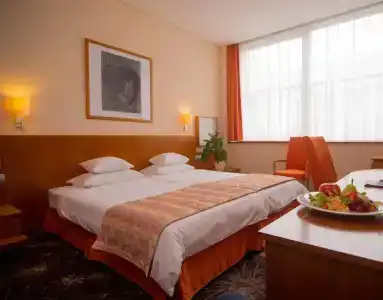 Lycium Debrecen - 2
